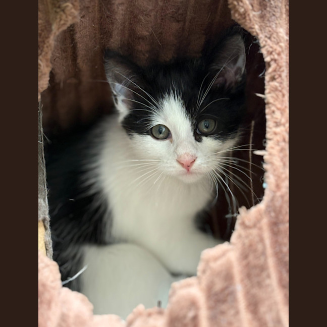 Photo of Salt & Pepper