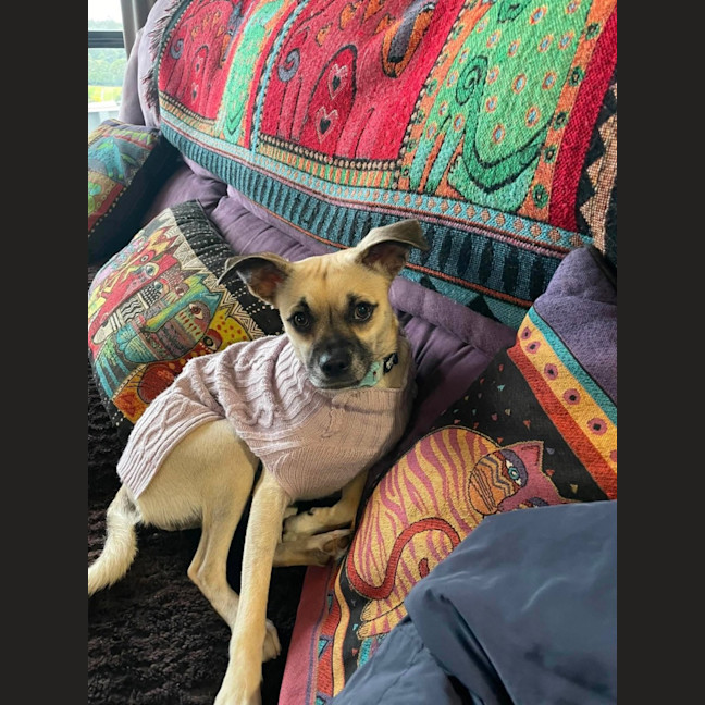 Photo of Coco