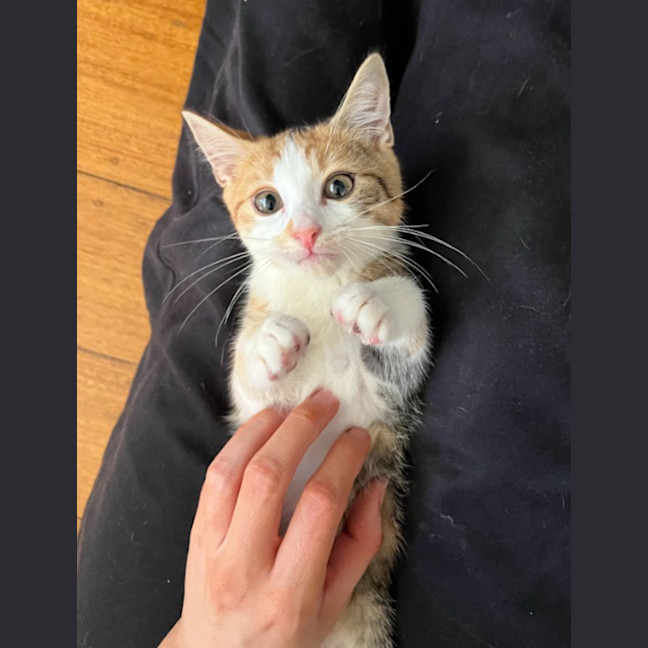 Photo of Lottie & Cindy 🌺🌺
