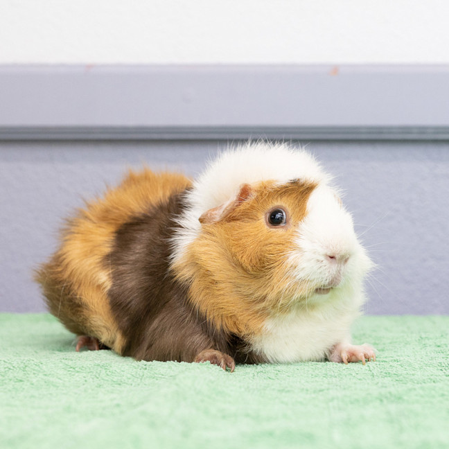 Photo of Alan