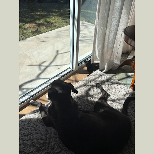 Photo of Merp (Previously Leanne) 