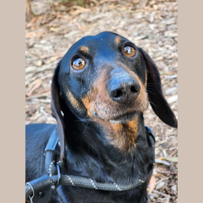 Photo of 🌞 Sonny 6191 🌞