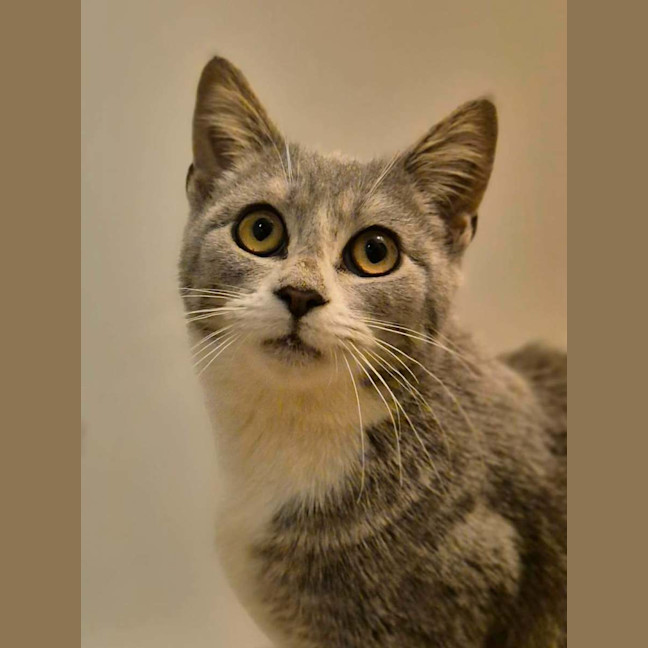 Photo of Heidi