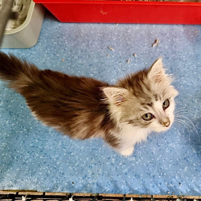 Photo of Tiny Dancer