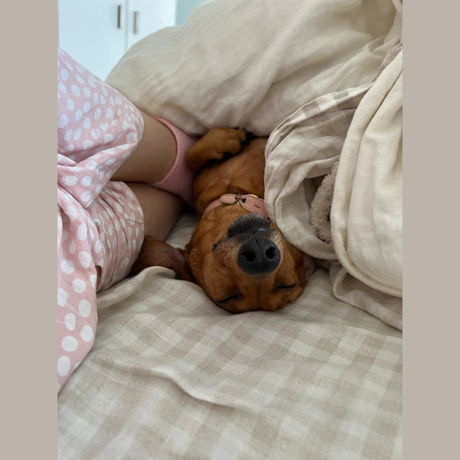 Photo of Frankie Girl