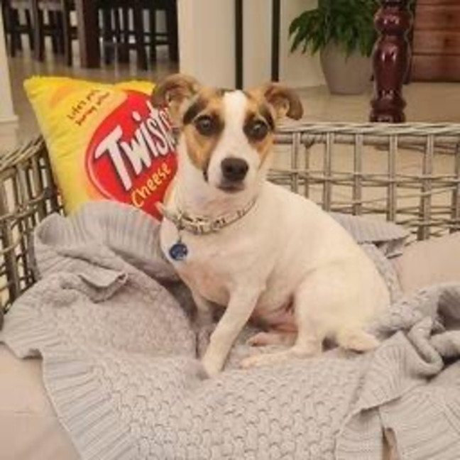 Photo of Coco Newhaven