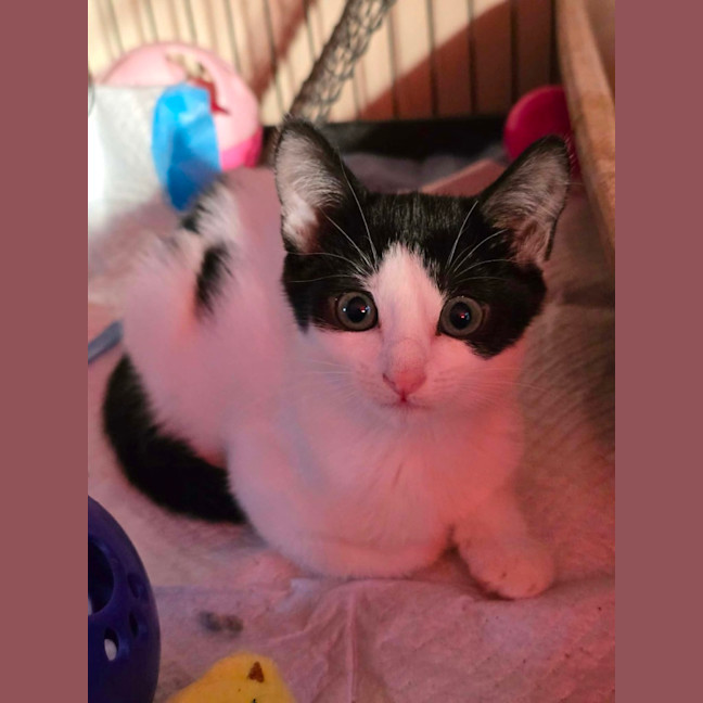 Photo of Holly (8914)