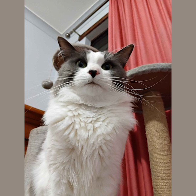 Photo of Aspen