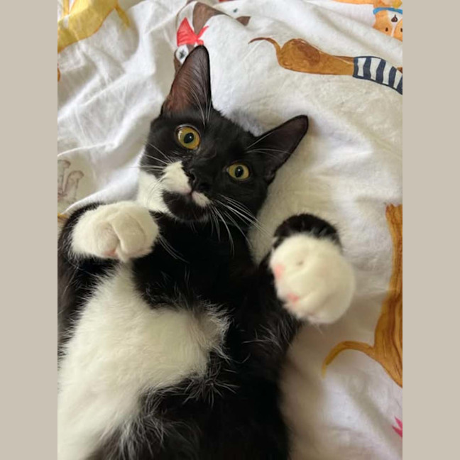 Photo of Freddy