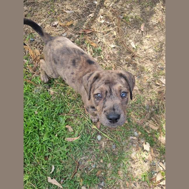 Photo of Freyja