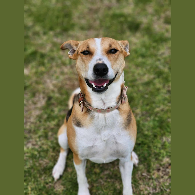 Photo of 🌼 Daisy 6367 🌼