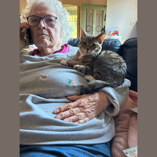 Photo of Batman   Bonded With Enchantress