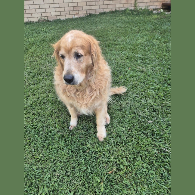 Photo of Lola