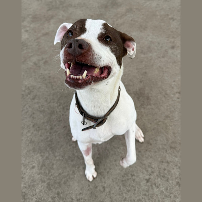Photo of Xena 