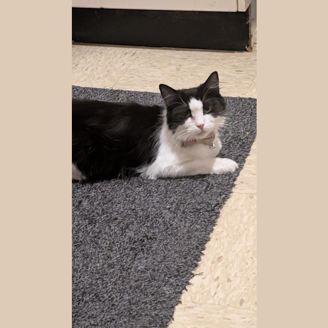 Photo of Miss Biccies