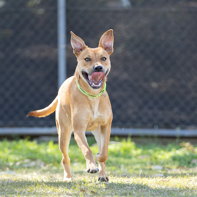 Photo of Sugar