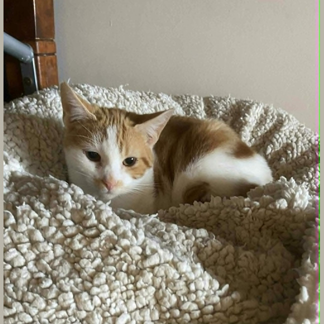 Photo of Eren