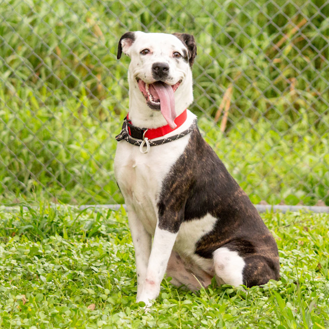Photo of Nyla