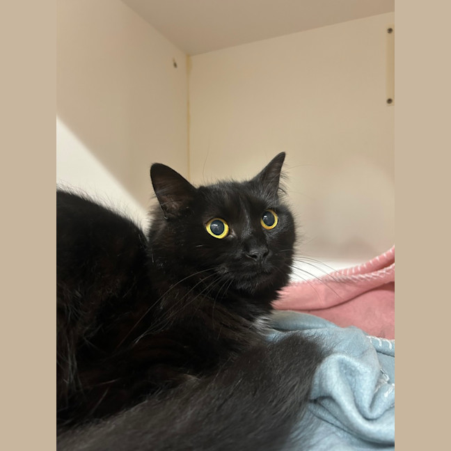 Photo of Turbo
