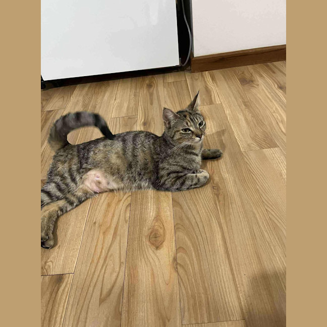 Photo of Bonnie 
