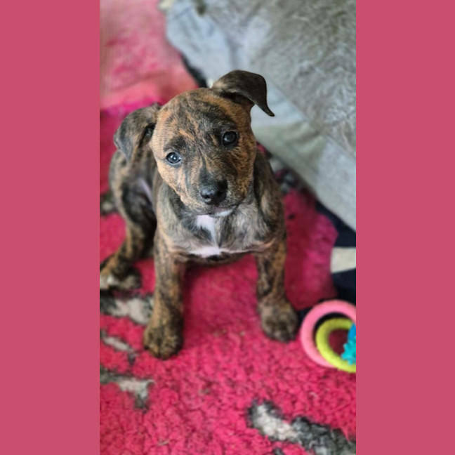 Photo of Spice