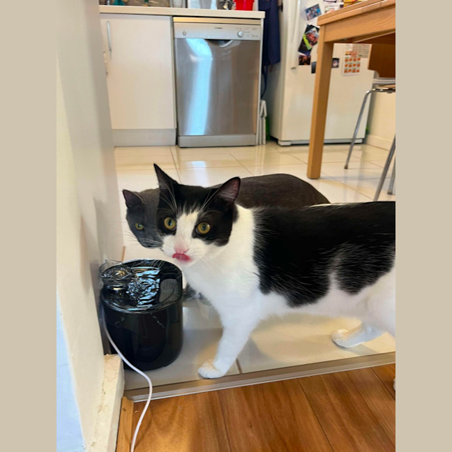 Photo of Hope & Oreo