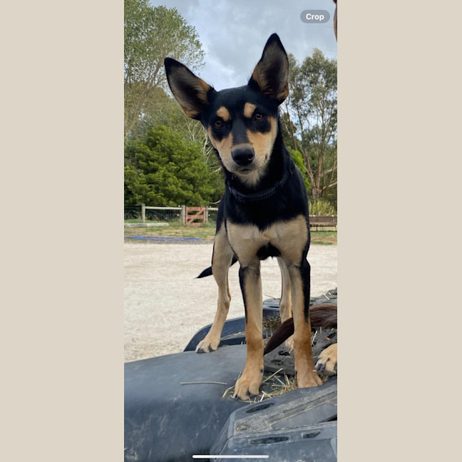 Photo of Maggie