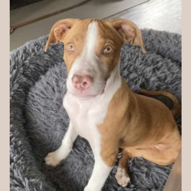 Photo of Brian Mannix