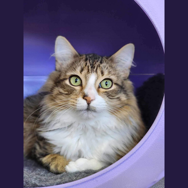 Photo of 🧭 Elijah 5198 🧭