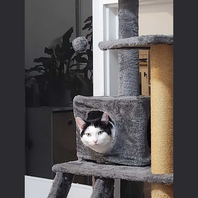 Photo of Winnie