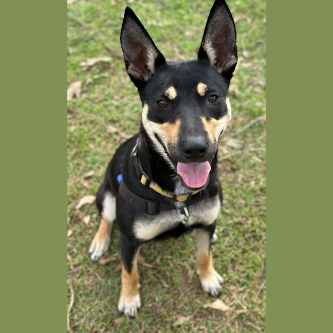 Photo of Roxi