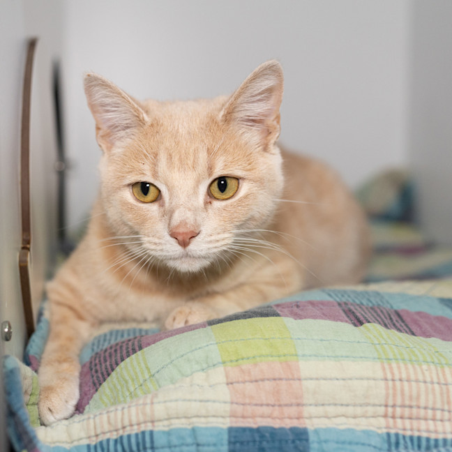 Photo of Murphy