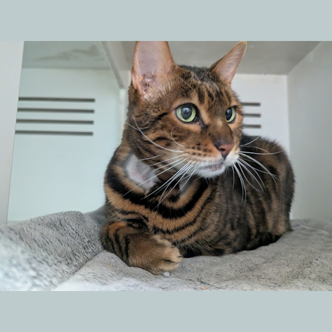 Photo of Mishy