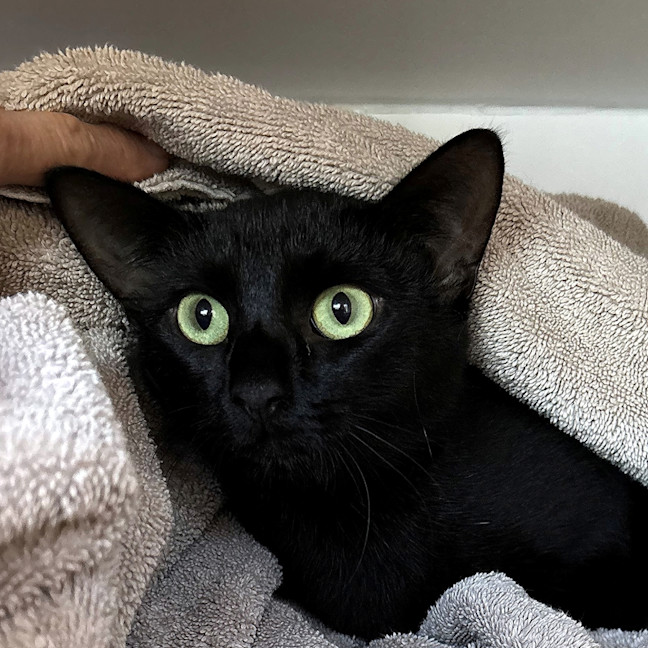 Photo of Ebony Sta013561