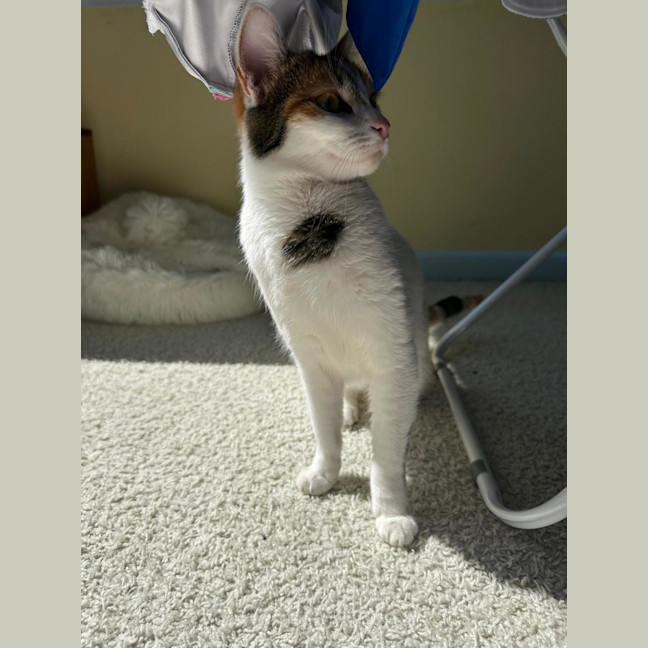 Photo of Millie