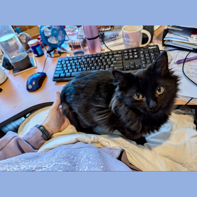 Photo of Poko 🥰 