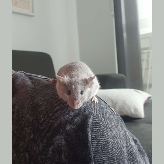 Photo of Vander / Ekko