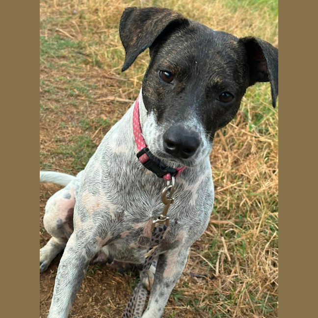 Photo of Billie Jean