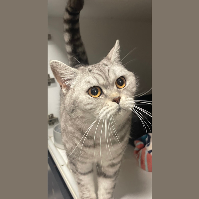 Photo of Abby