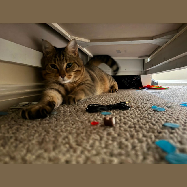 Photo of Nueve (Nui)