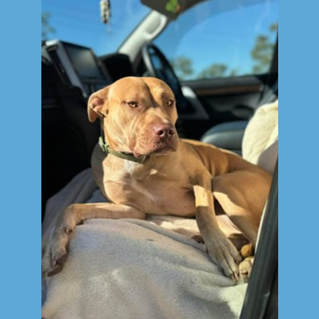 Photo of Willow