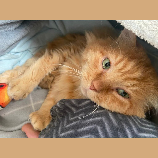 Photo of Bobby
