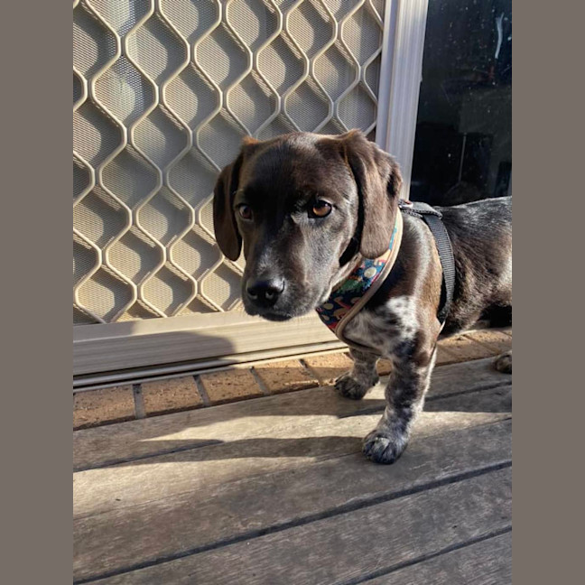 Photo of Echo