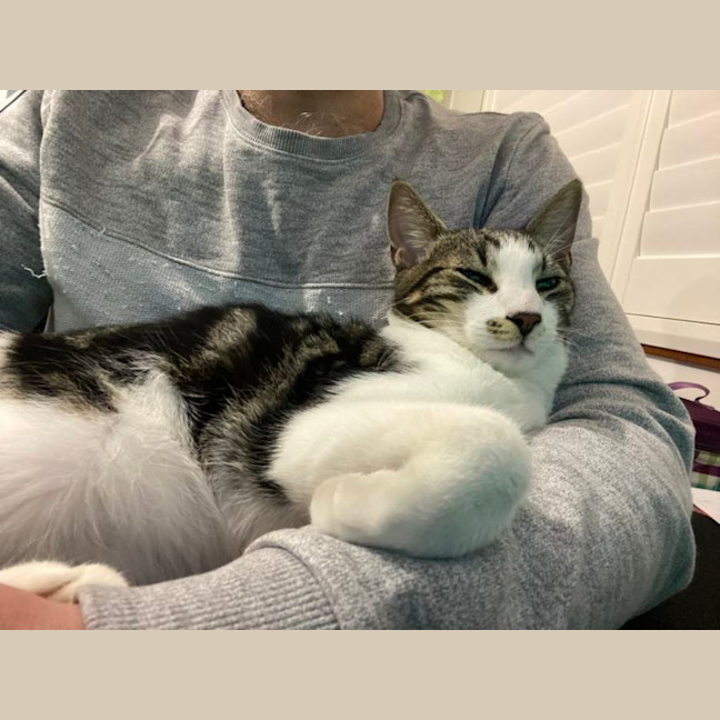 Photo of Jerry Freckle