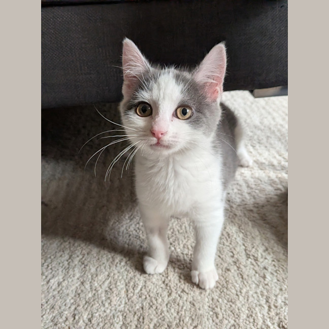 Photo of Charlotte