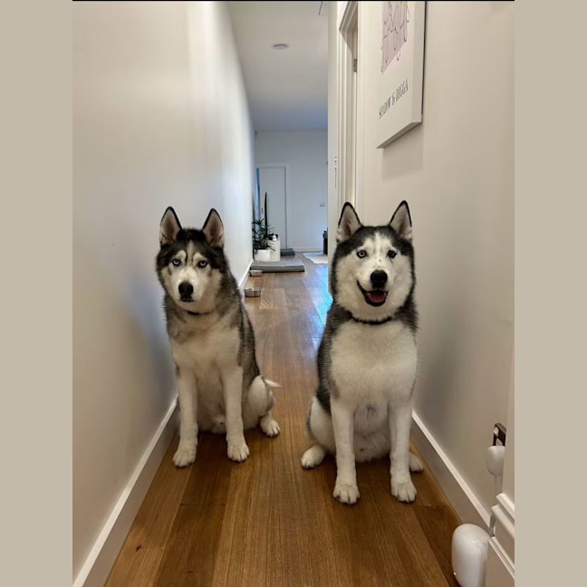 Photo of Digga & Shadow