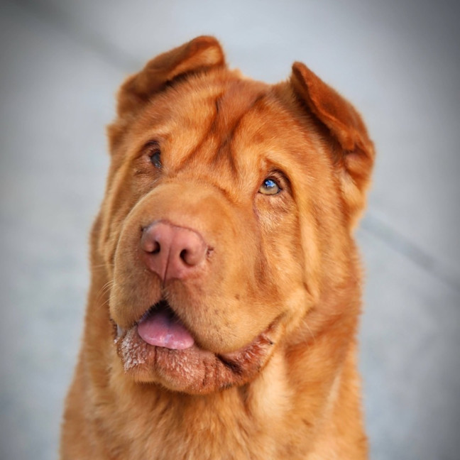 Photo of Symba