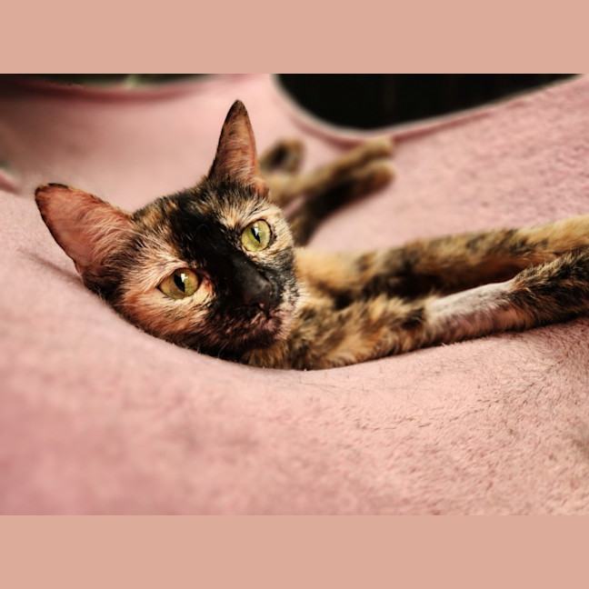 Photo of Olivia 