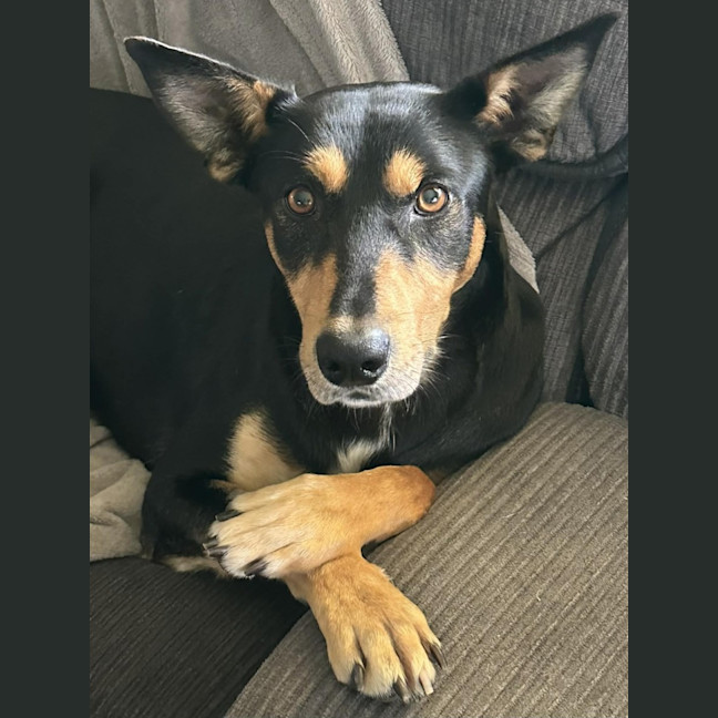 Photo of Doug