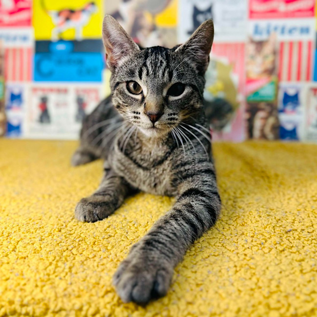 Photo of Lyle   Located In Preston 